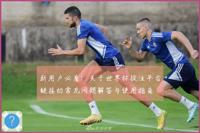 新用户必看：关于世界杯投注平台链接的常见问题解答与使用指南