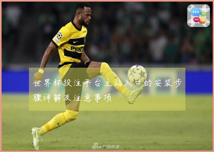 世界杯投注平台主站入口的安装步骤详解及注意事项