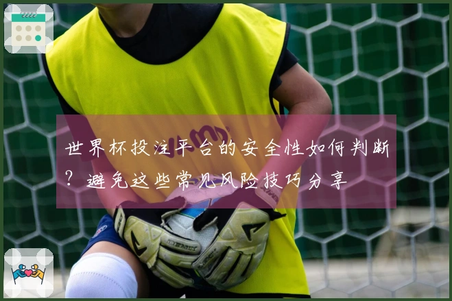 世界杯投注平台的安全性如何判断？避免这些常见风险技巧分享
