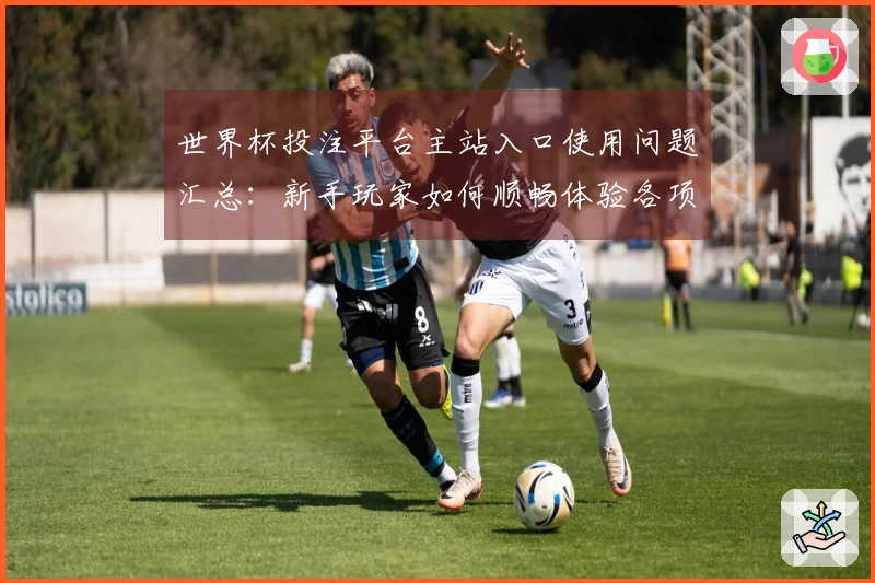 世界杯投注平台主站入口使用问题汇总:新手玩家如何顺畅体验各项功能