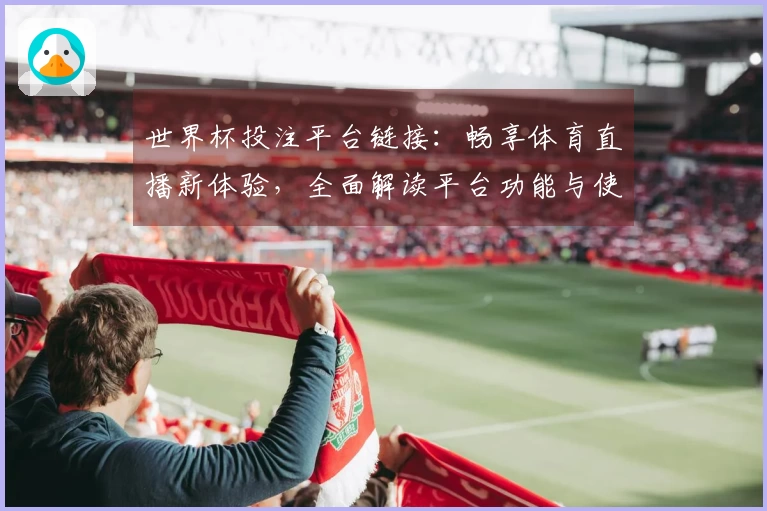 世界杯投注平台链接：畅享体育直播新体验，全面解读平台功能与使用技巧
