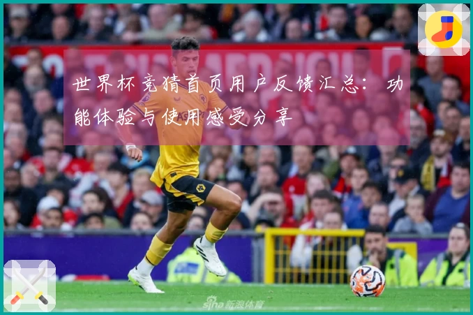 世界杯竞猜首页用户反馈汇总：功能体验与使用感受分享