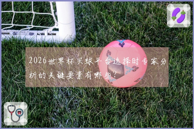 2026世界杯买球平台选择时专家分析的关键要素有哪些？