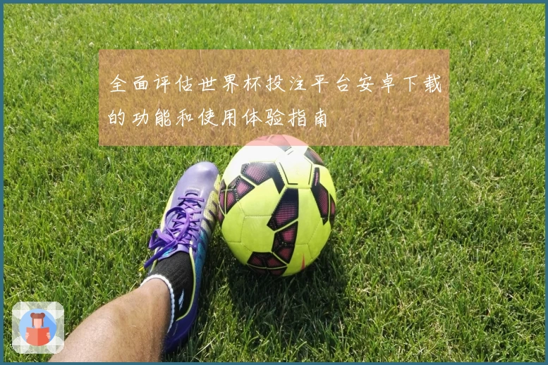 全面评估世界杯投注平台安卓下载的功能和使用体验指南