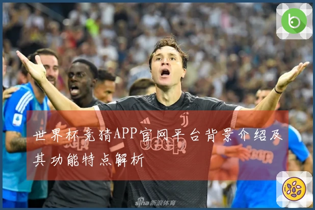 世界杯竞猜APP官网平台背景介绍及其功能特点解析