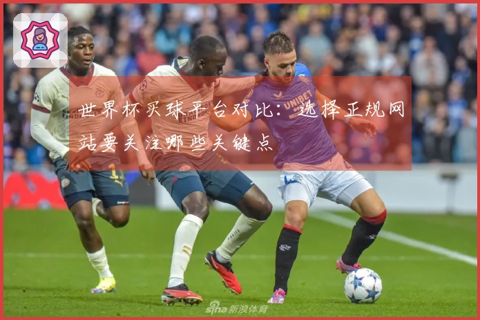 世界杯买球平台对比：选择正规网站要关注哪些关键点