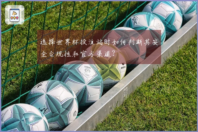 选择世界杯投注站时如何判断其安全合规性和官方渠道？